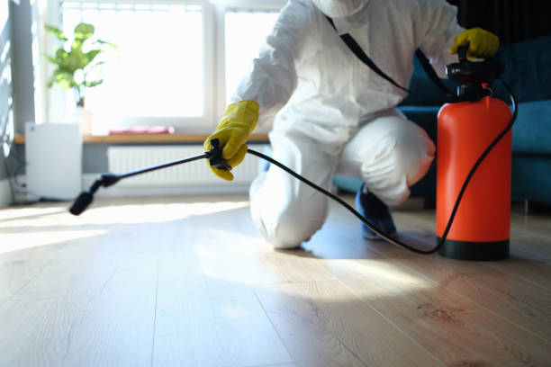 Trusted Sewage Cleanup service in Springfield, PA - Four Month Blood Cleanse